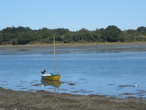 Morbihan Adultes ronde 7 @ PLOËRMEL
