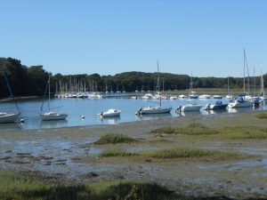 Morbihan Adultes ronde 7 @ PLOËRMEL