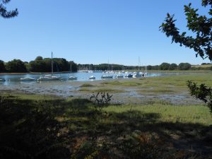 Morbihan Adultes ronde 7 @ PLOËRMEL